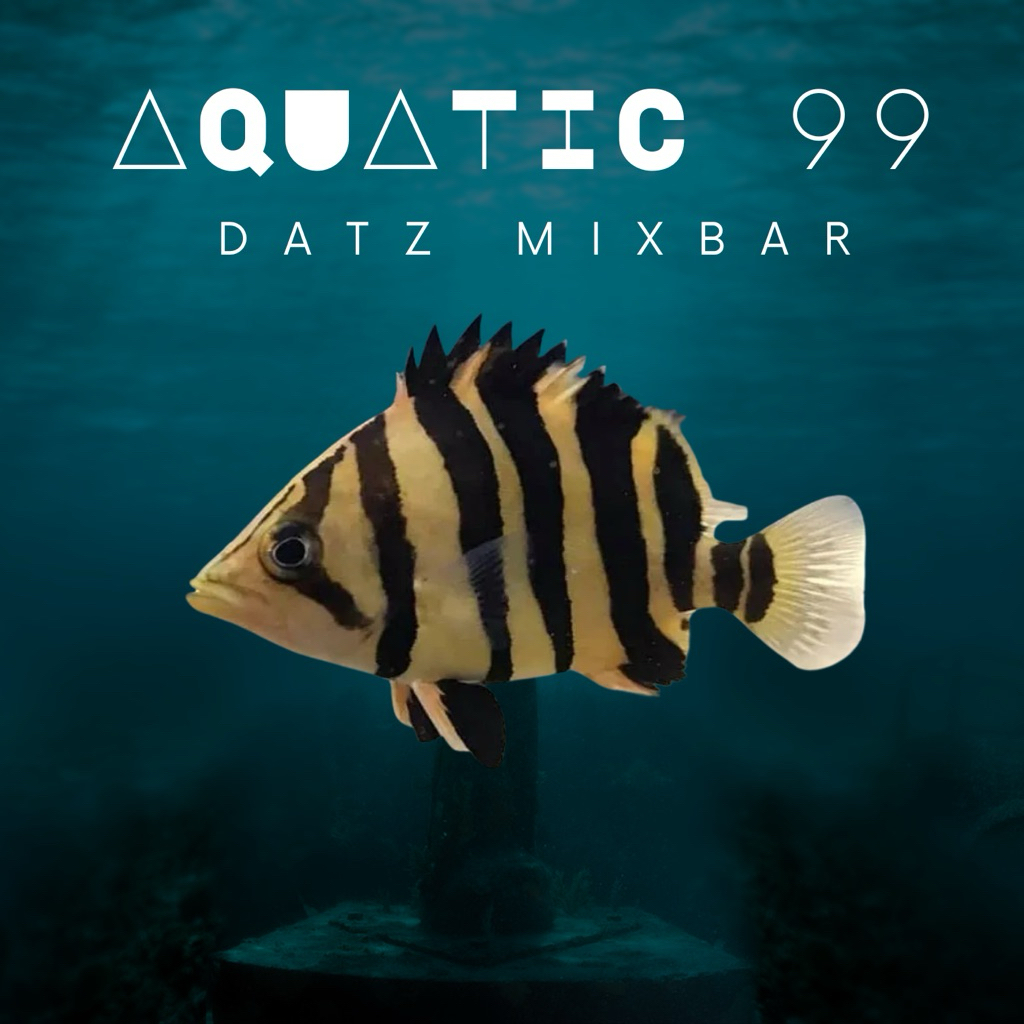 Datz Tiger Fish Sumatra Mixbar 10cm
