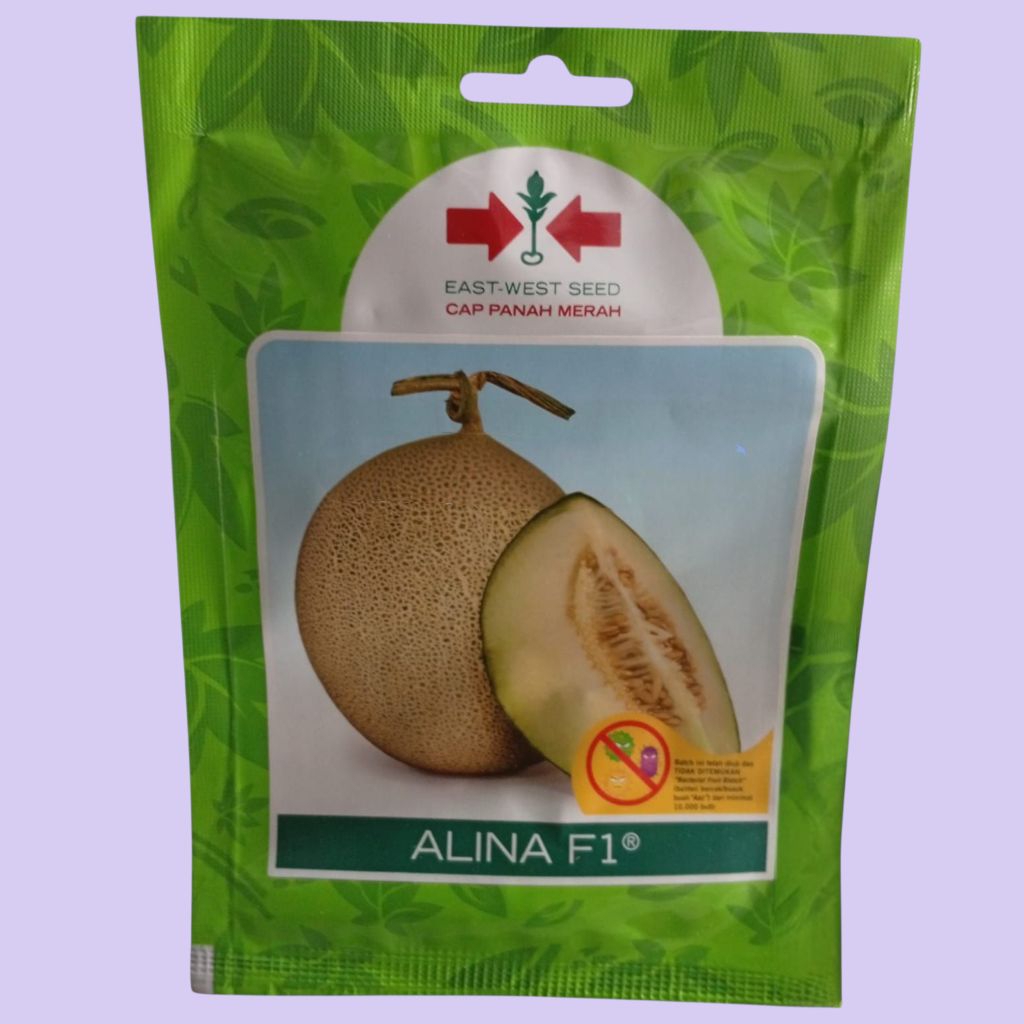 Benih Melon Alina F1 40 Butir