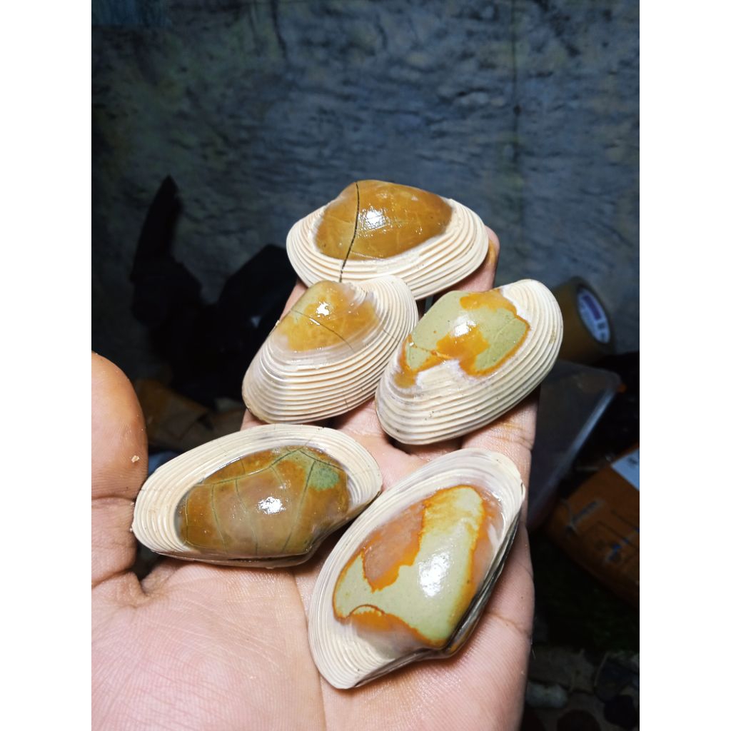 natural batu kijing Buntet asli alam