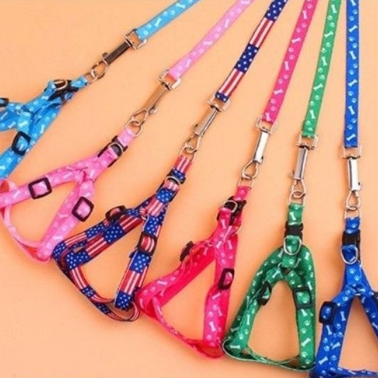 TALI KUCING, ANJING DAN KELINCI | UNTUK JALAN JALAN HEWAN