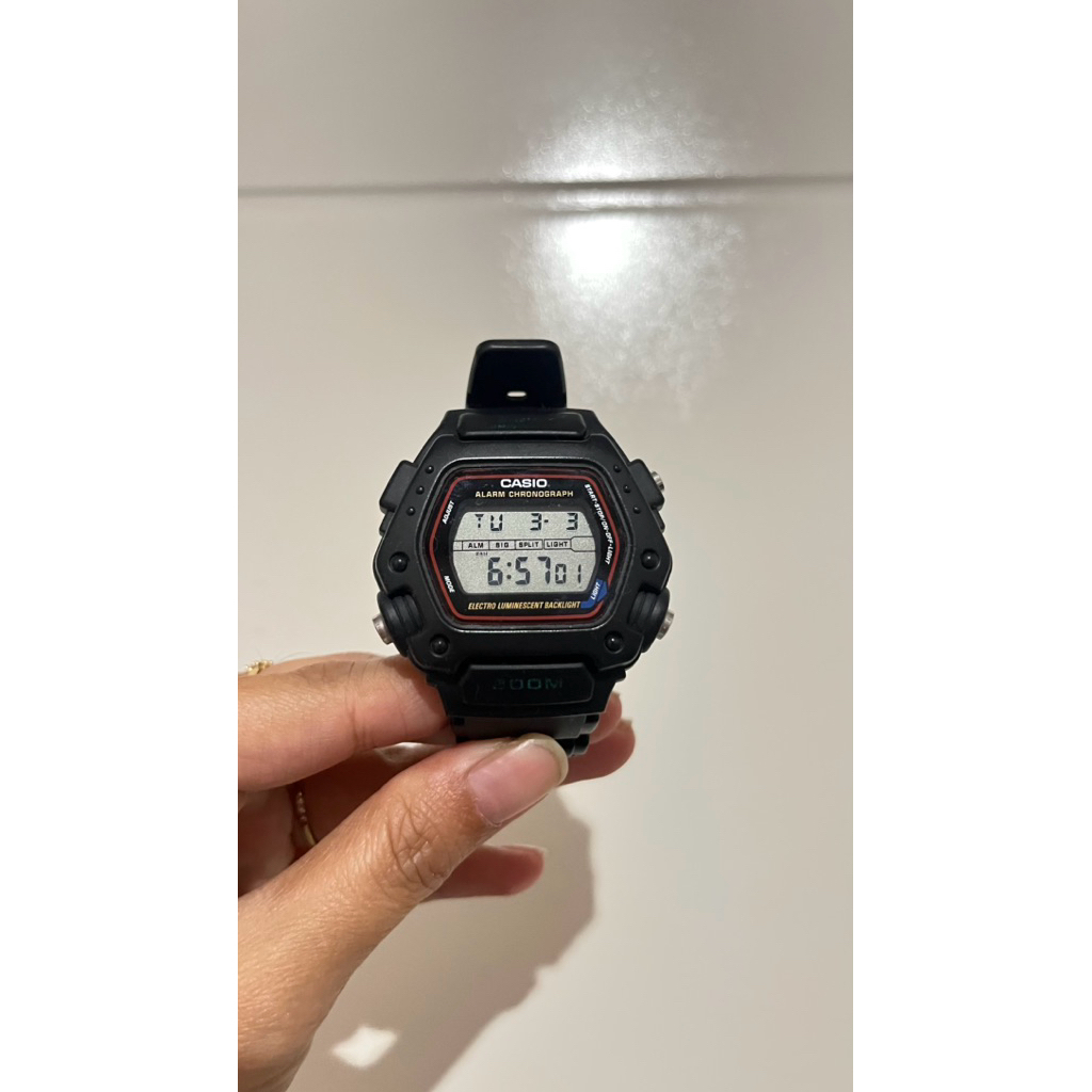 CASIO DW-290 (Casio Badak)