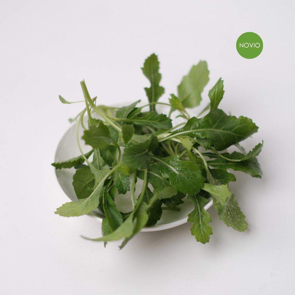 Tanaman Wasabi Arugula / Leaf / Herbal / Fresh