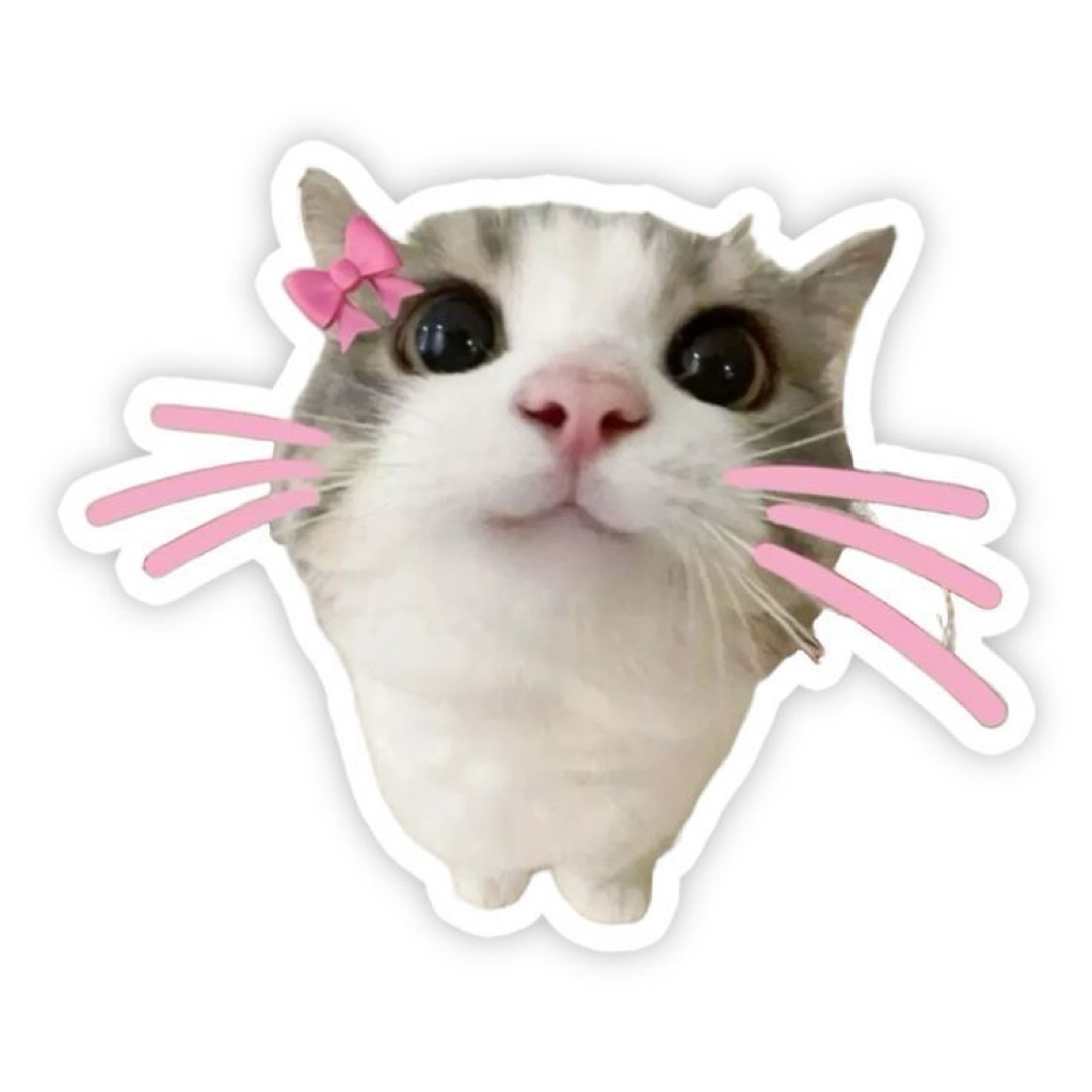 BLIND BOX STIKER LUCU