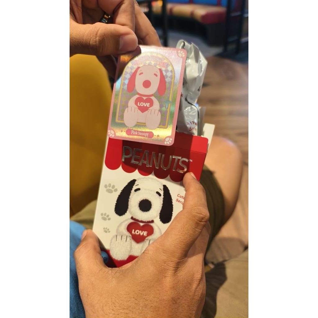 VIPO PEANUT SNOOPY PINK / BLIND BOX