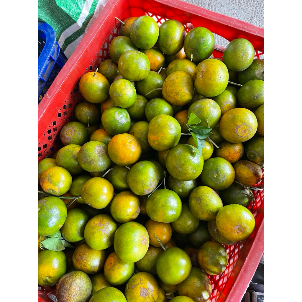 JERUK SANTANG MADU 1KG