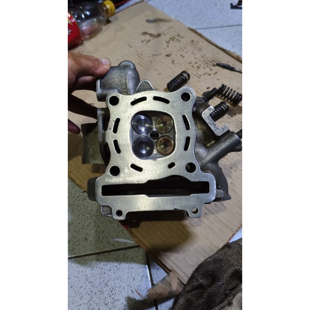 Head 22/19 Mx New Karbu