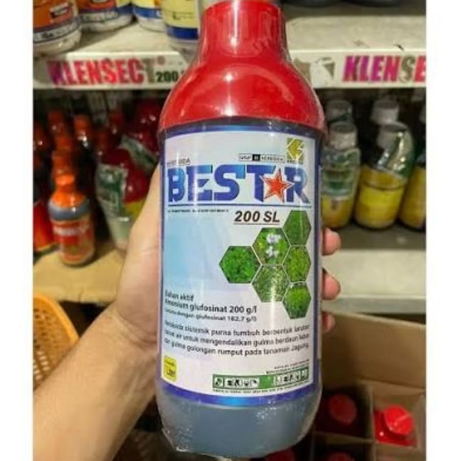 Herbisida Bestar untuk Rumput Lulang