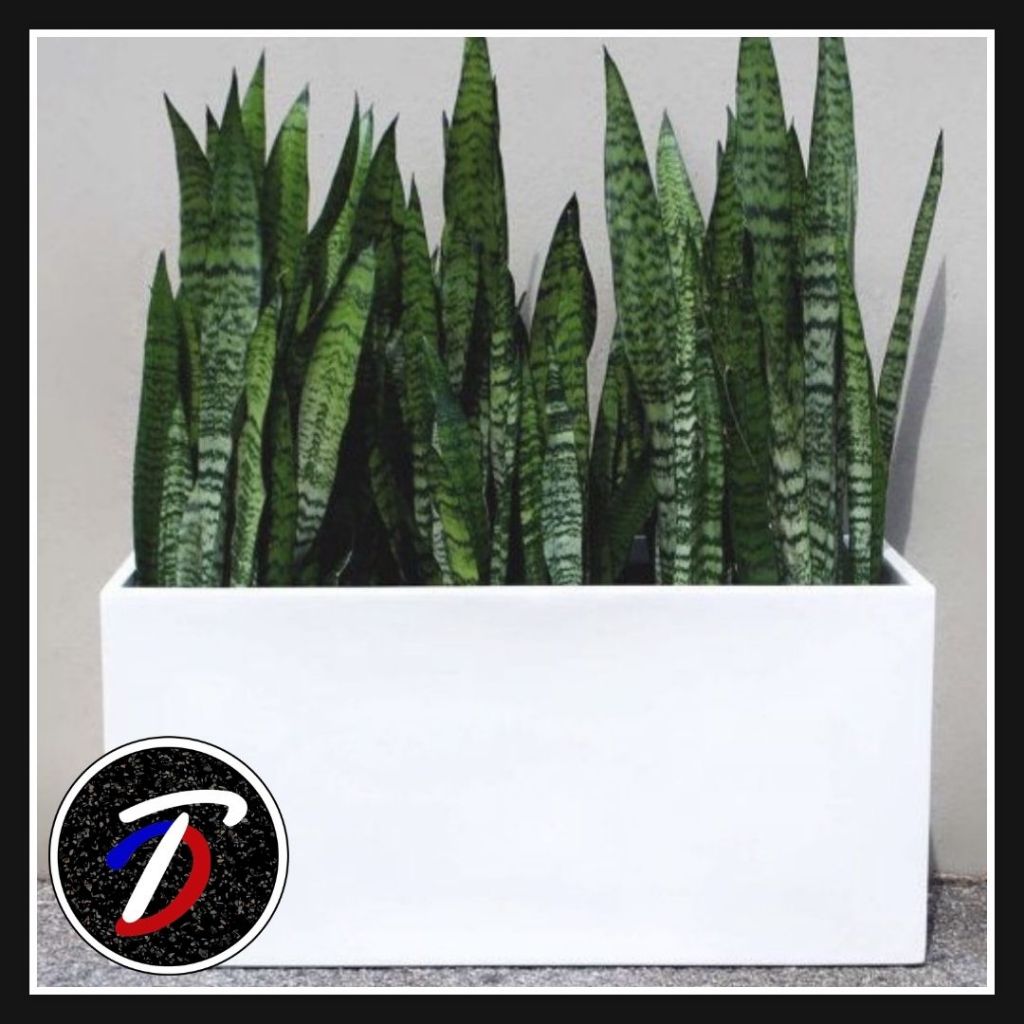 Pot planter teraso putih doff outdoor