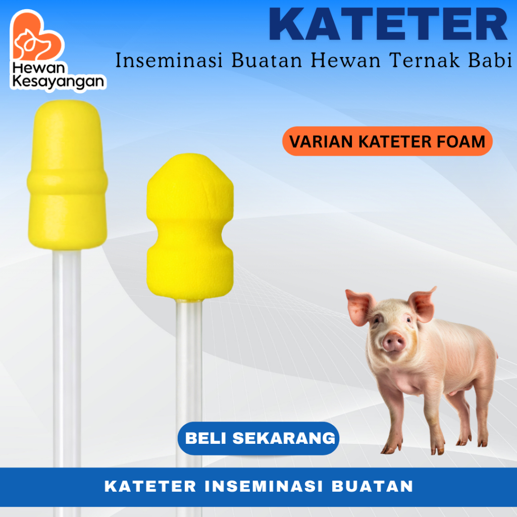 Kateter Babi Foam - Catheter Inseminasi Buatan
