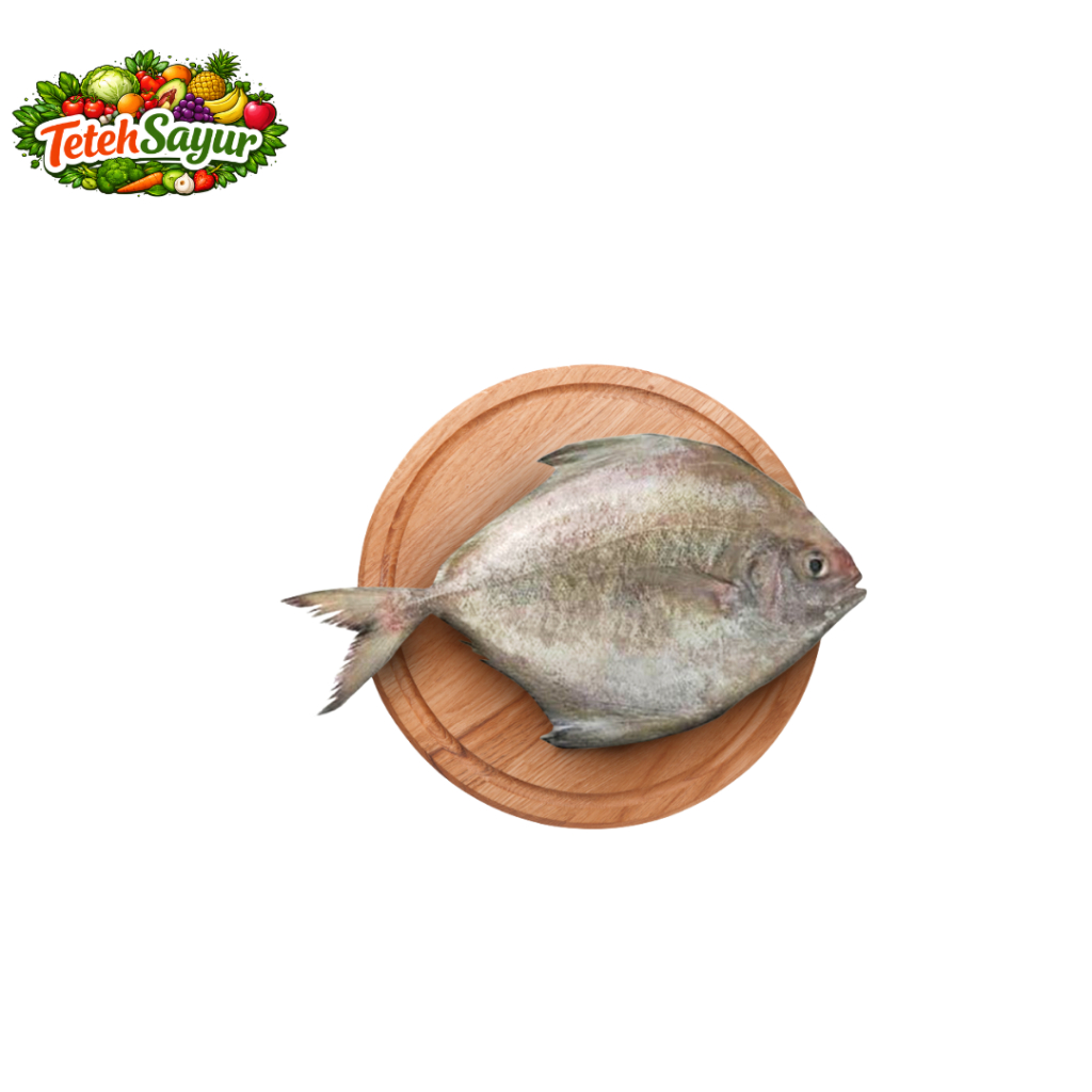 IKAN BAWAL LAUT FRESH