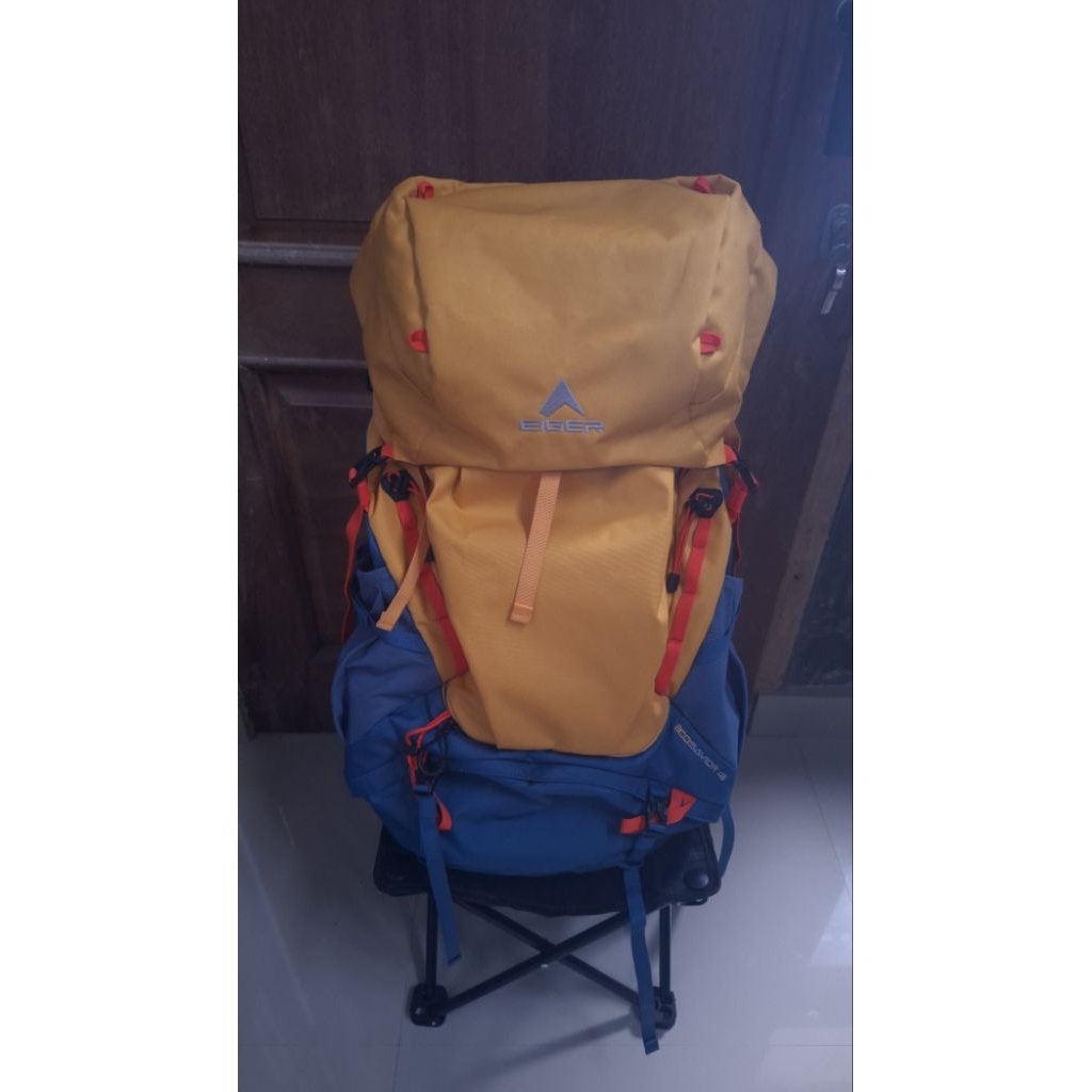 carrier eiger ecosavior