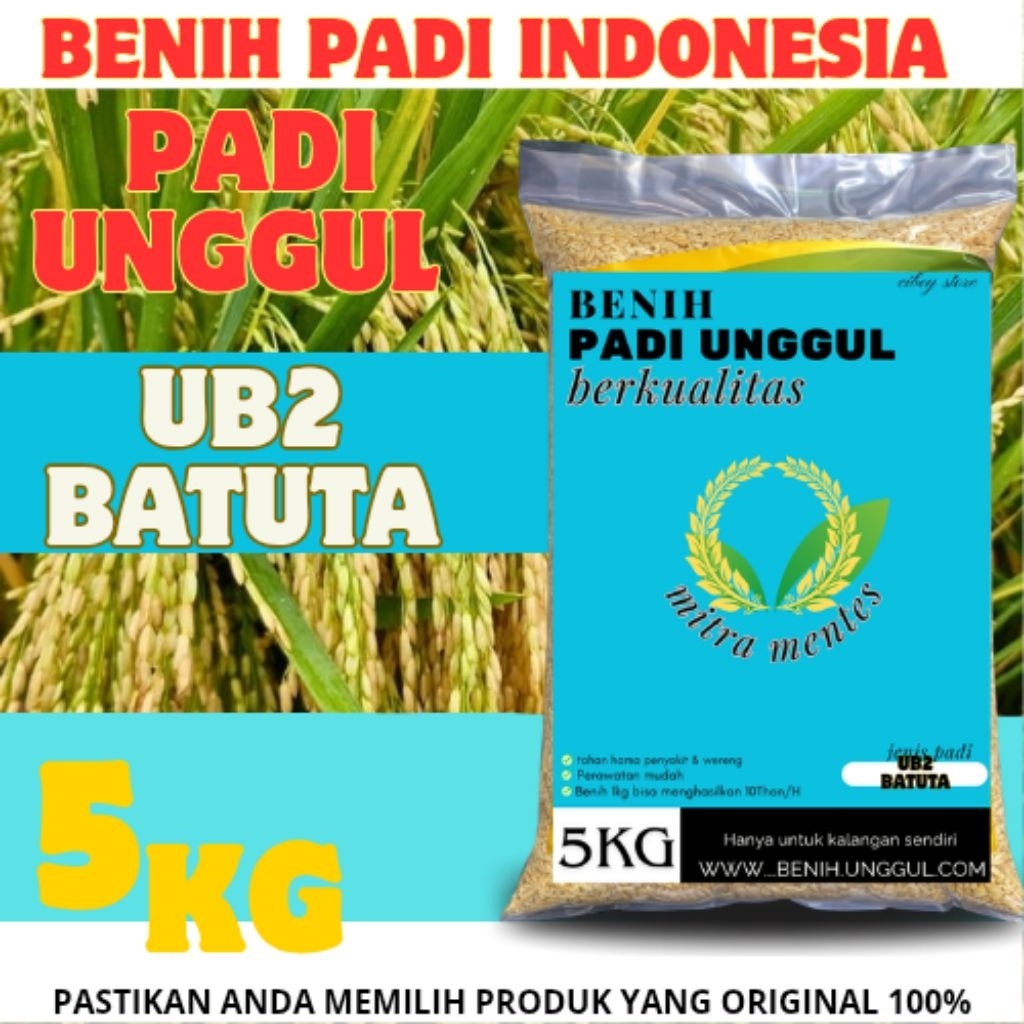 Benih Padi UB BATUTA ORI Kemasan 5kg