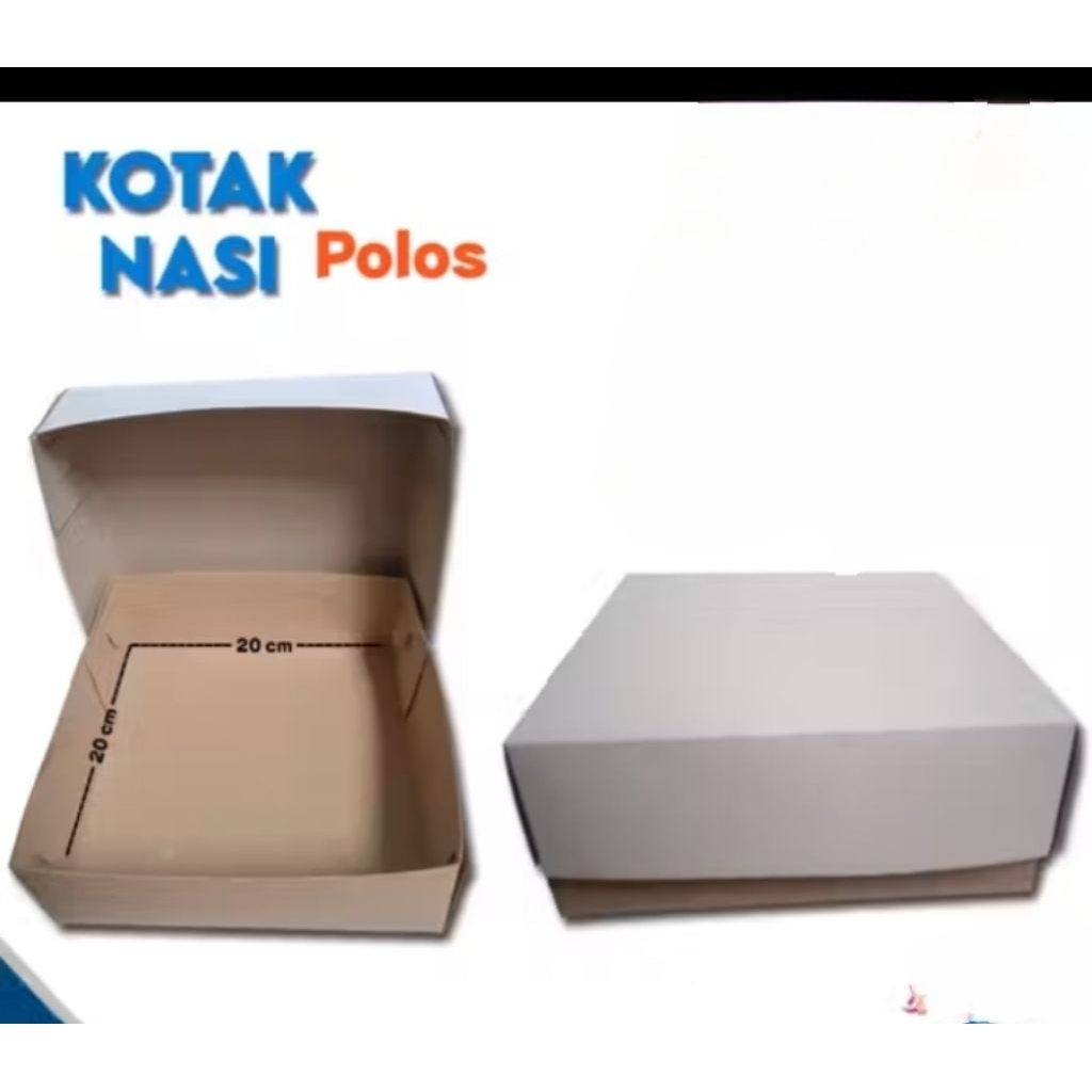 Kotak nasi polos putih