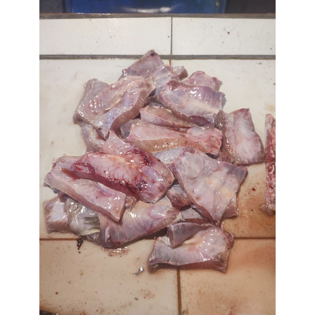 Perut Ikan Baung Laut ½ kg
