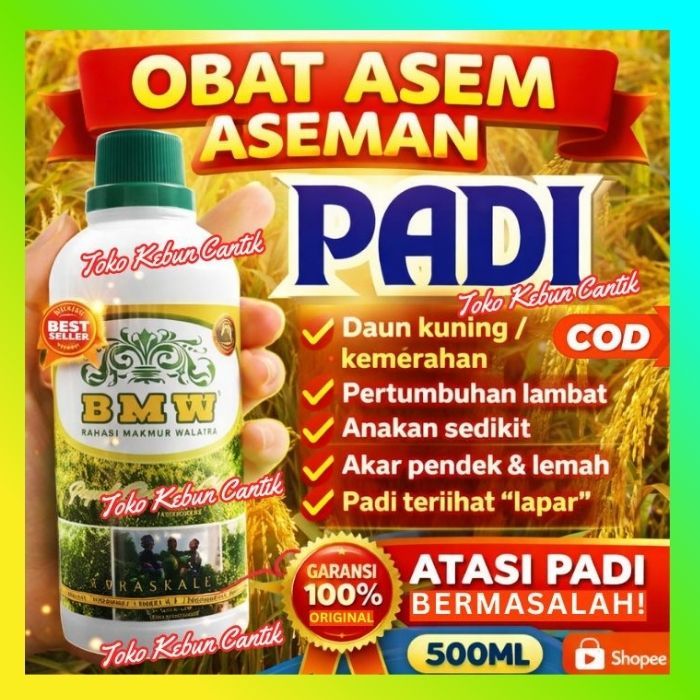 POC BMW Pupuk Padi Rawa Pasang Surut | Padi Hijau & Batang Kokoh