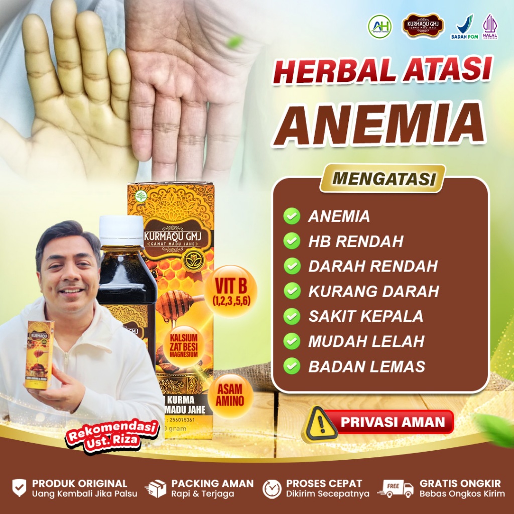 Harga hemoglobin rendah Terbaru Jun 2026 | BigGo Indonesia