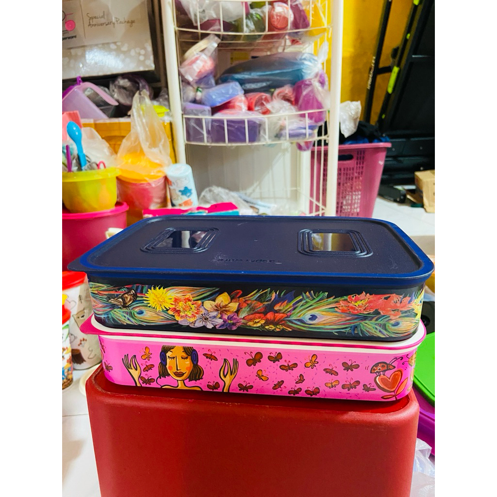 Tupperware Baseline Canister