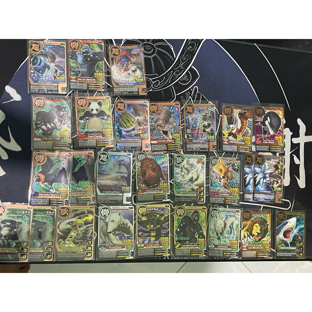 animal kaiser borongan