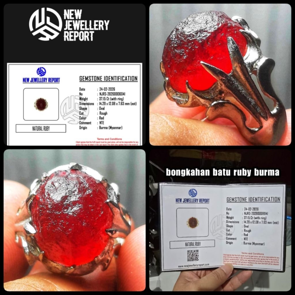permata Ruby delima Burma jumbo HQ alami rough ya