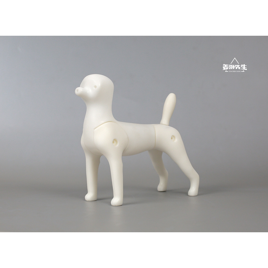 Universal Grooming Skeleton Boneka Rangka Model untuk Toy Breed | Maltese Yorkshire Terrier Teacup P