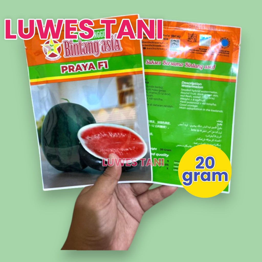 Benih Semangka Praya (20g) Semangka Bulat Merah Manis