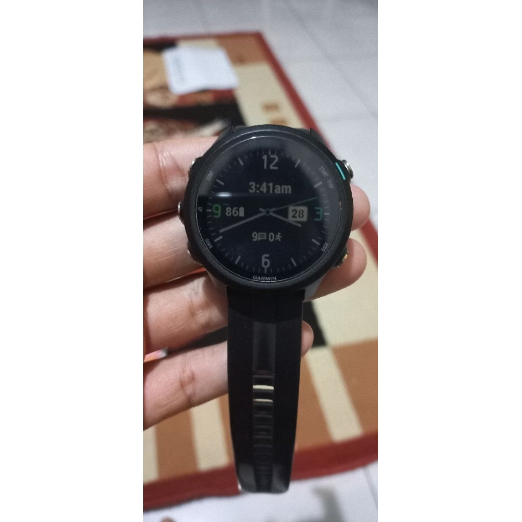 Garmin FR 245 music