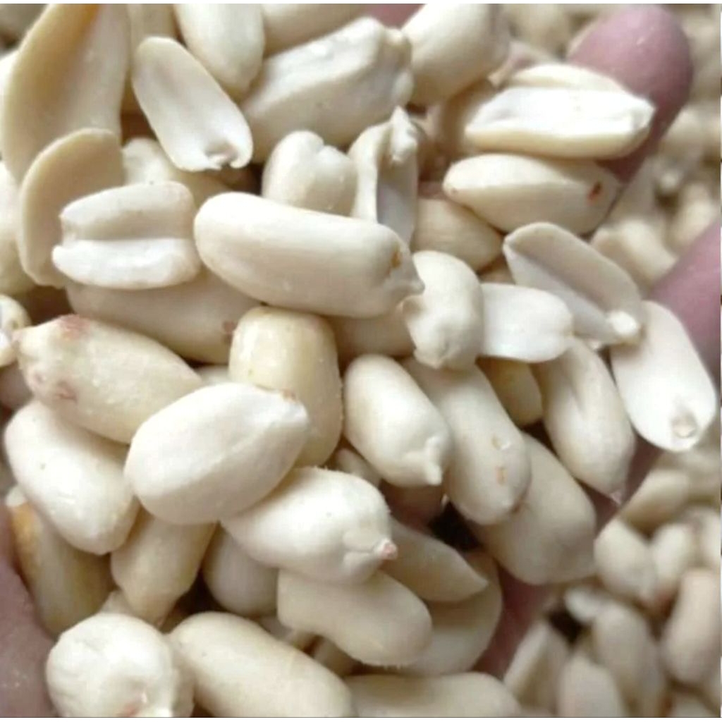 kacang kupas tuban 1kg - kacang mentah 1kg - kacang mentah