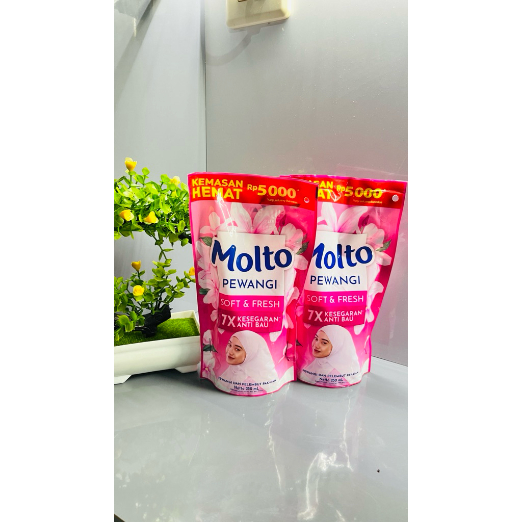 Molto pewangi 5000 250ml