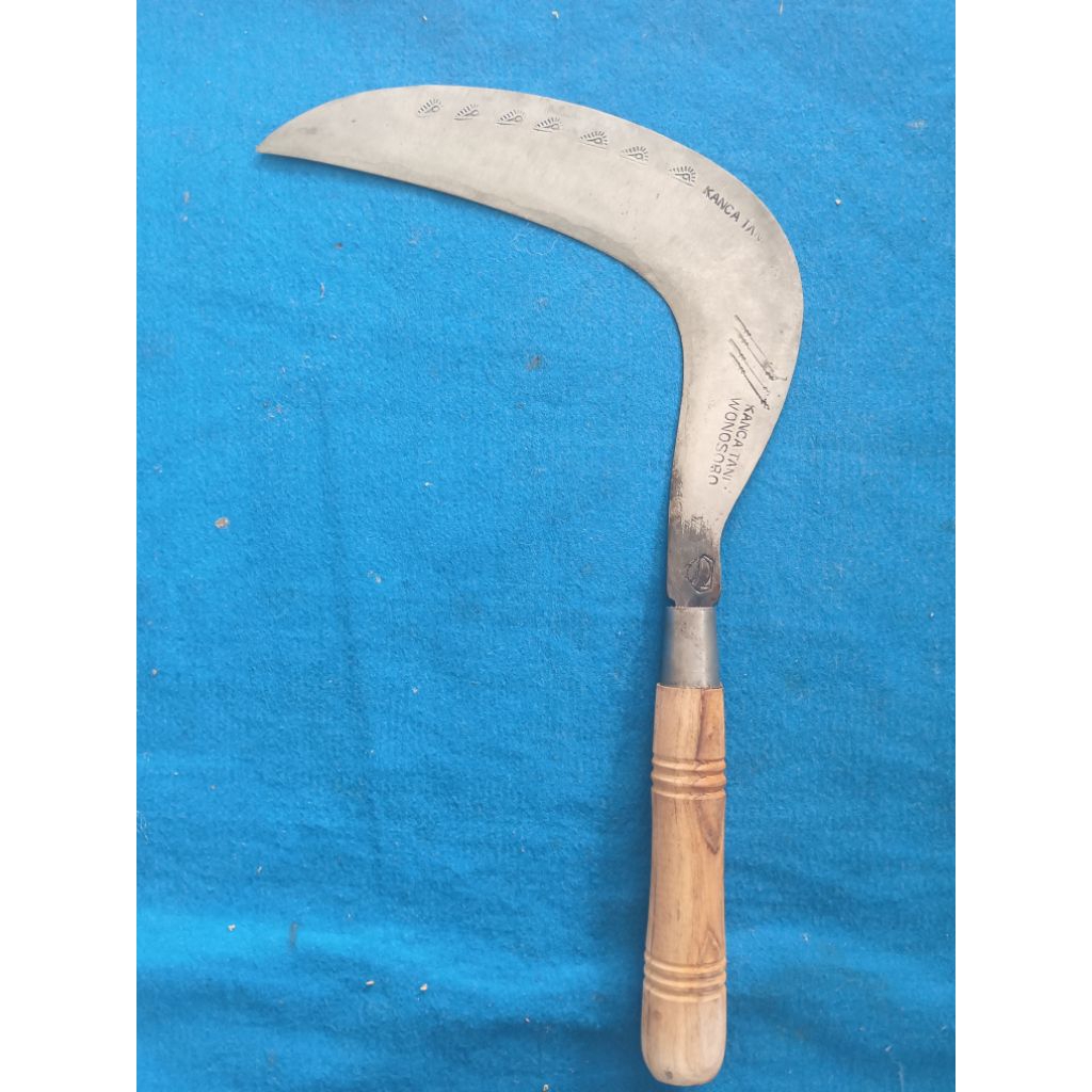 Arit rumput baja isen selap lapis 5 asli wonosobo