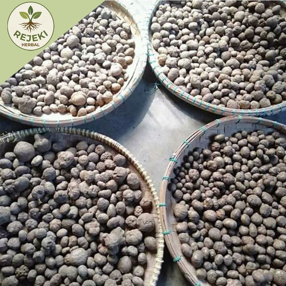 bibit porang katak asli dorman 1kg isi 200-700 bibit. (random)