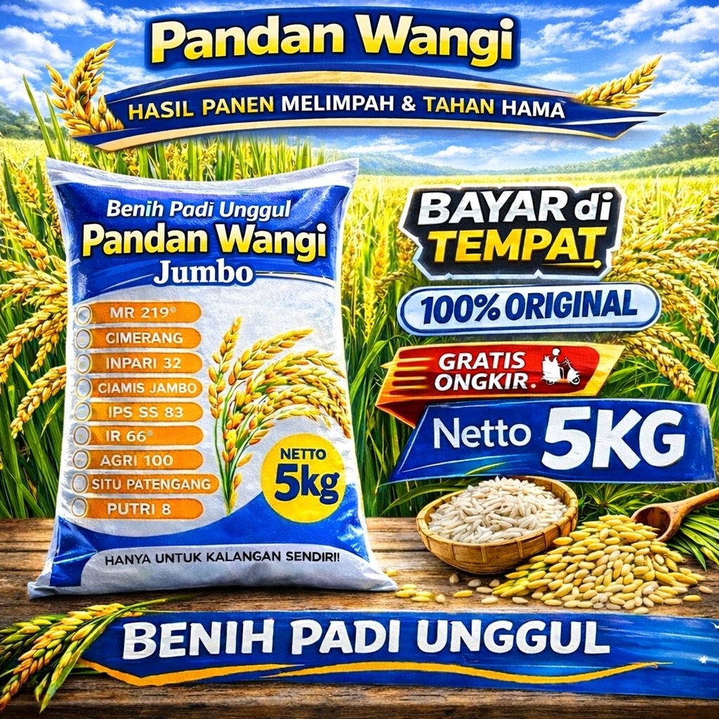 Benih Padi Unggul Pandan wangi jumbo kemasan 5kg original Premium Asli