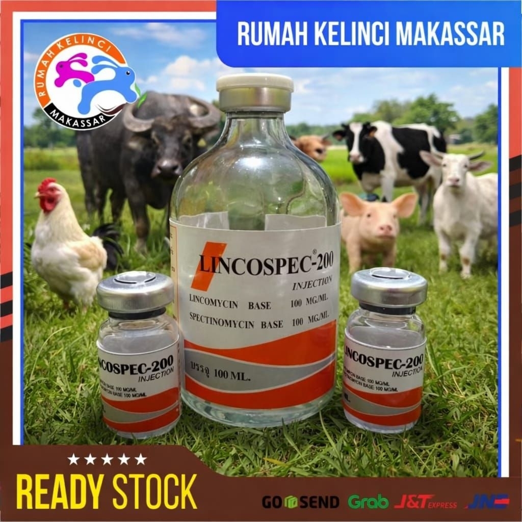 LINCOSPEC 200 Lincospec Orange Obat Hewan Sapi Kerbau Babi Unggas Lincospek