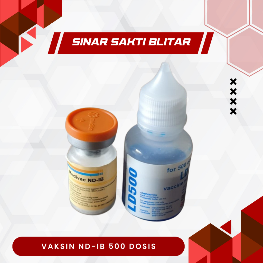 VAKSIN ND IB DOSIS 500 EKOR + PELARUT MEDIVAC MEDION - Telo Tetelo Ayam Burung Bebek Unggas Newcastl