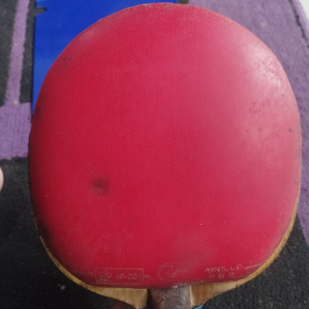 karet pimpong bekas yinhe apollo 5 IV