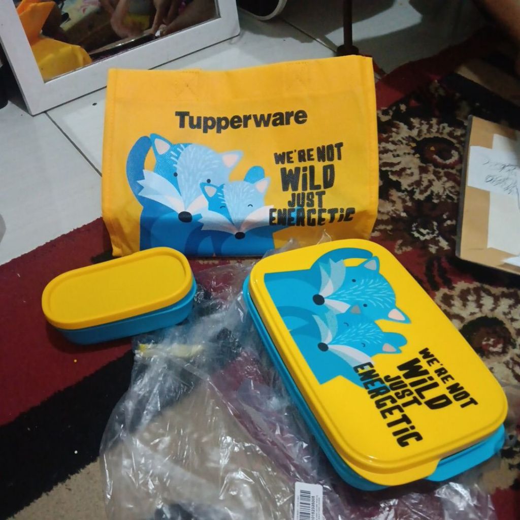 foodie buddy fox tupperware