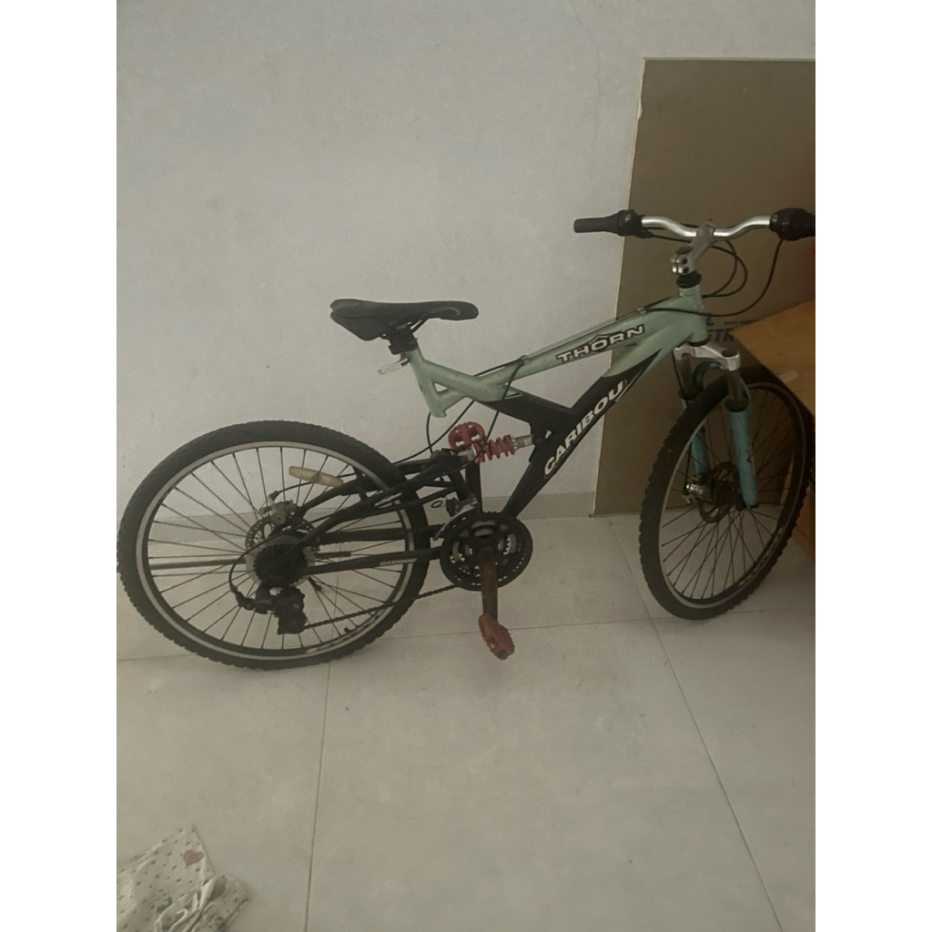 sepeda caribou thorn
