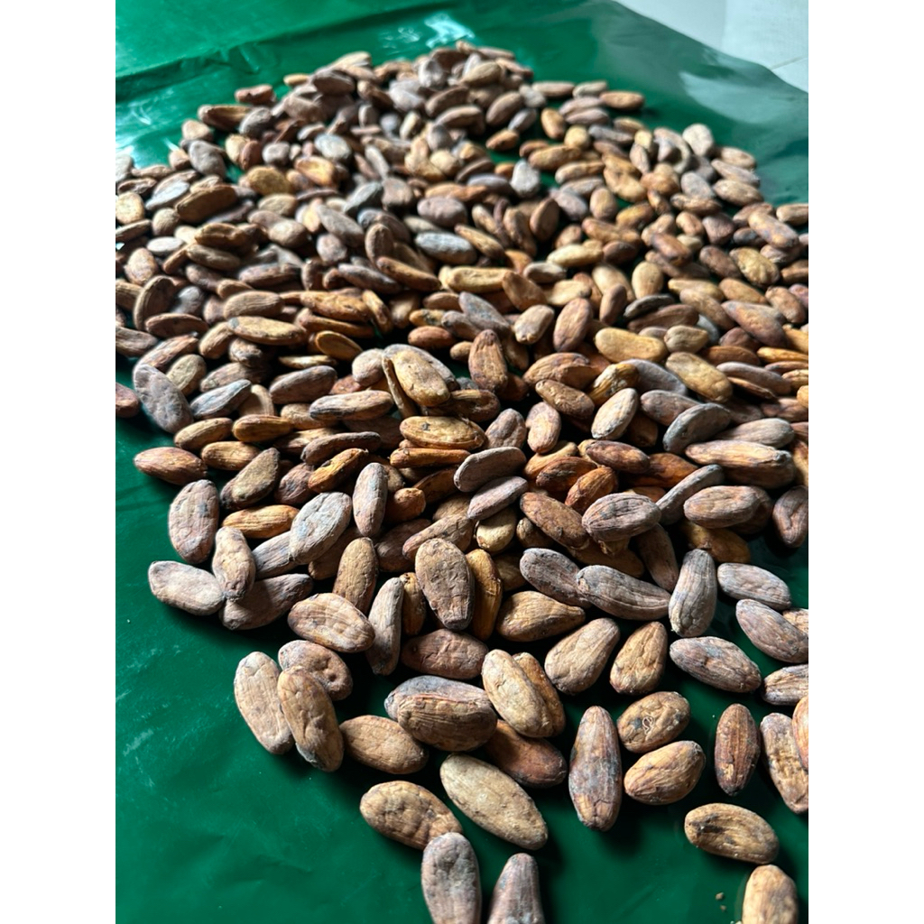 BIJI KERING KAKAO MCC SUPER