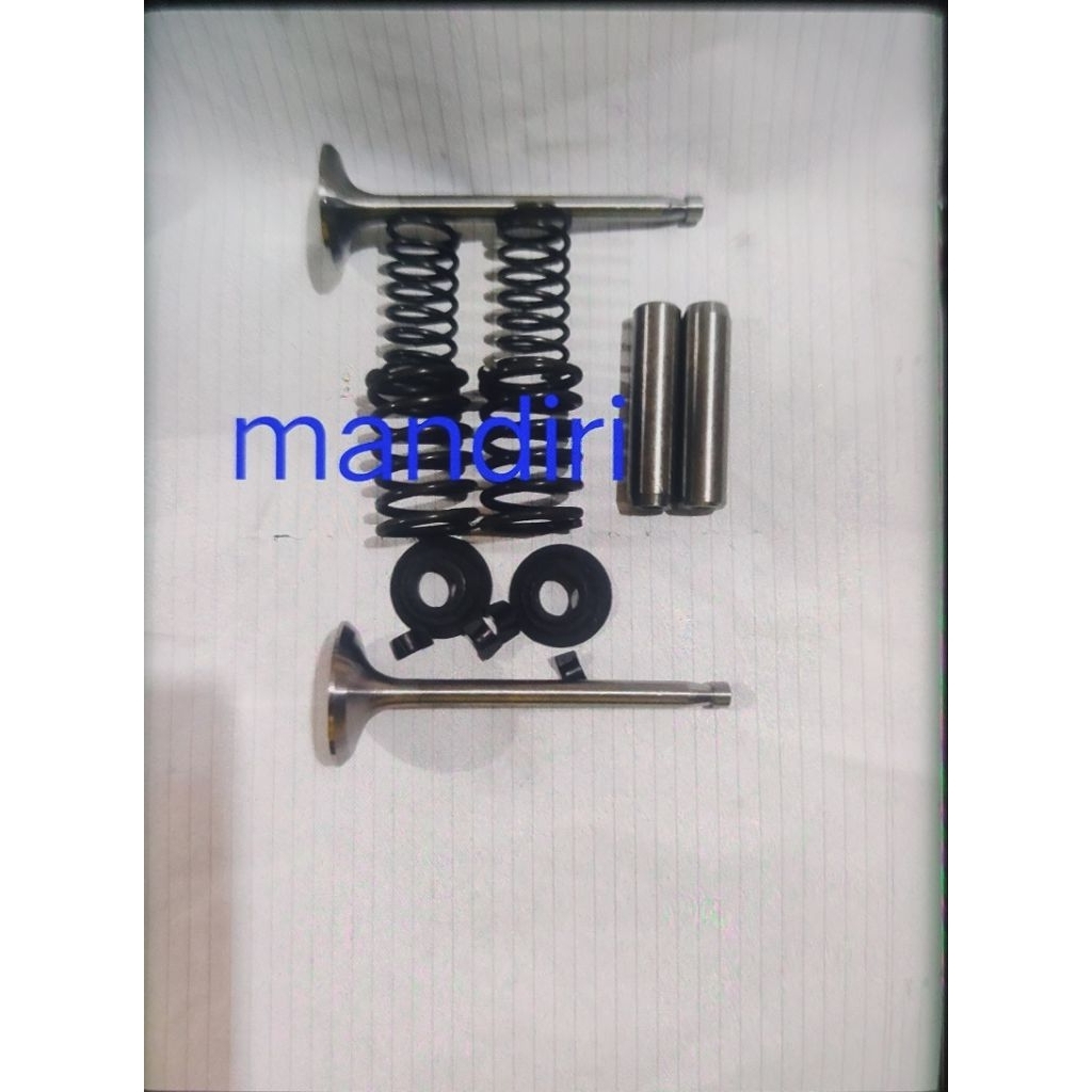klep komplit dongfeng s195 s1100