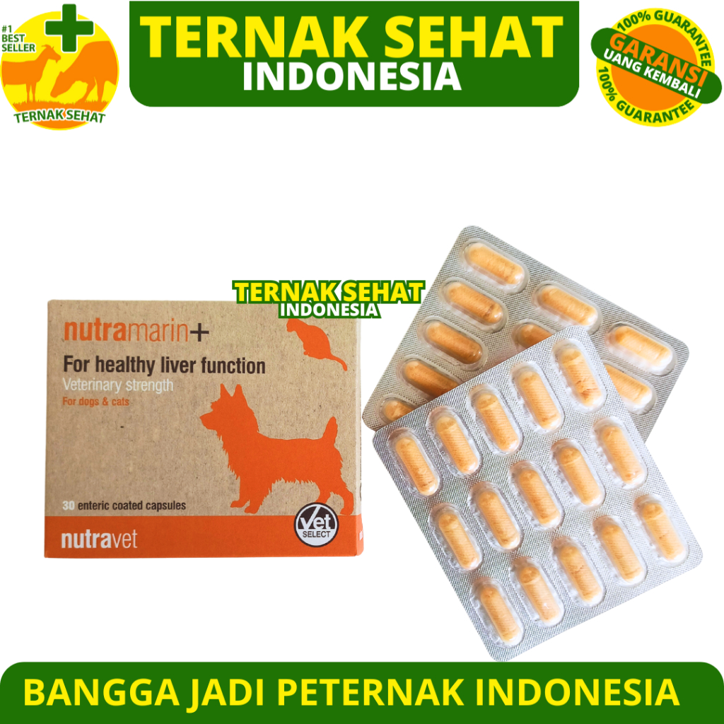 NUTRAMARIN PLUS 1 BOX 30 KAPSUL - Obat Gangguan Liver Kucing Anjing Dukung Fungsi Hati Maksimal