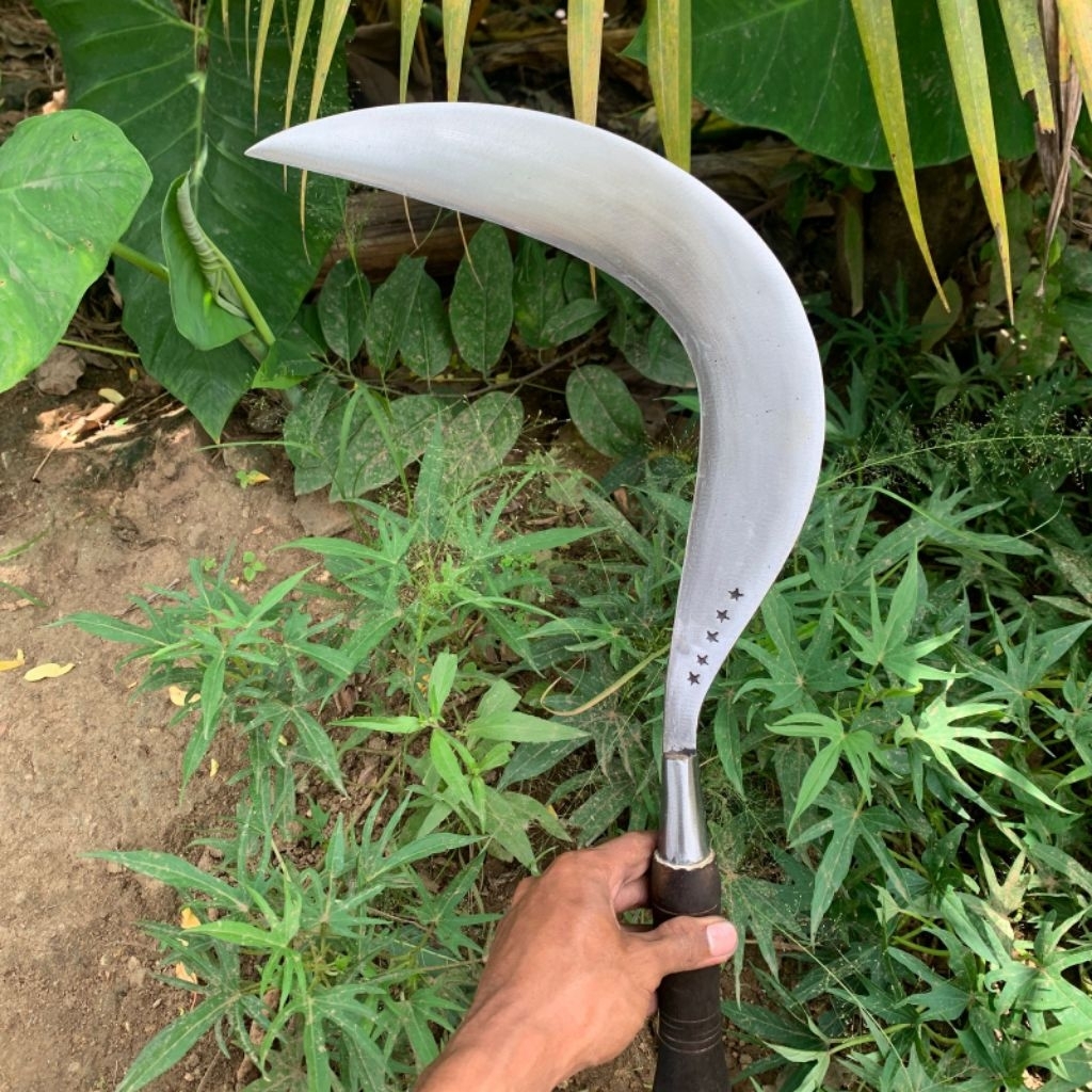 Arit rumput bintang5 super jumbo asli baja khas Madura