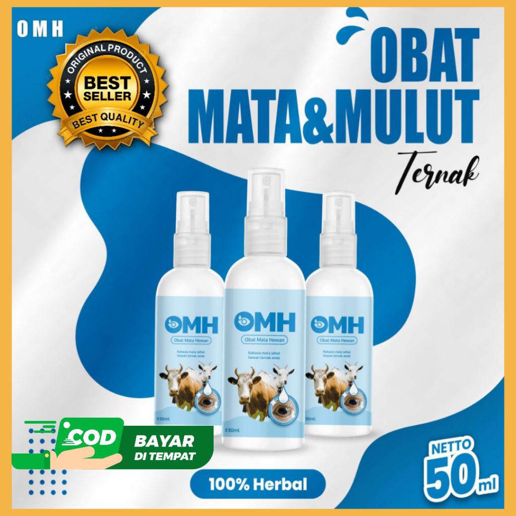 TERAMPUH  Obat Belekan Kambing Jawa