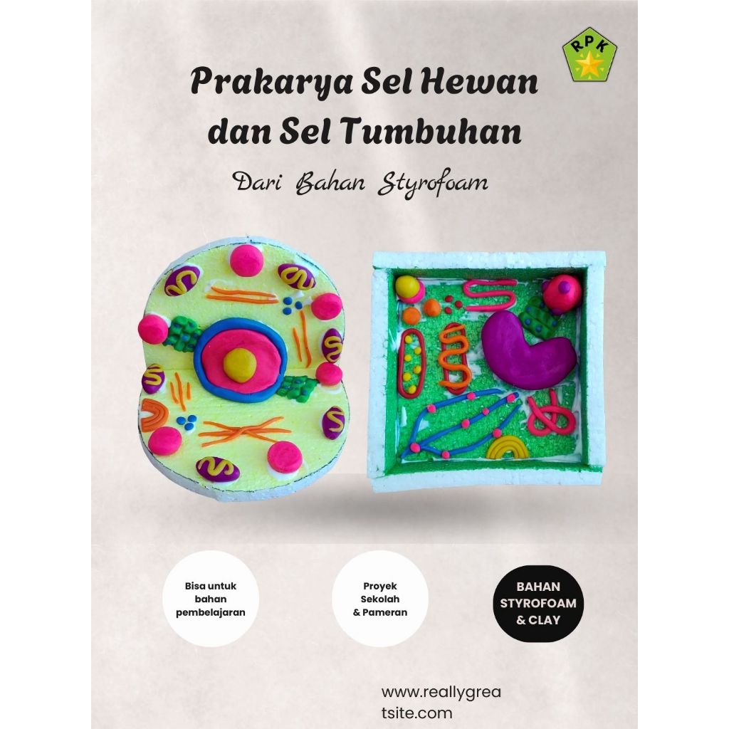 SEL HEWAN DAN SEL TUMBUHAN PRAKARYA