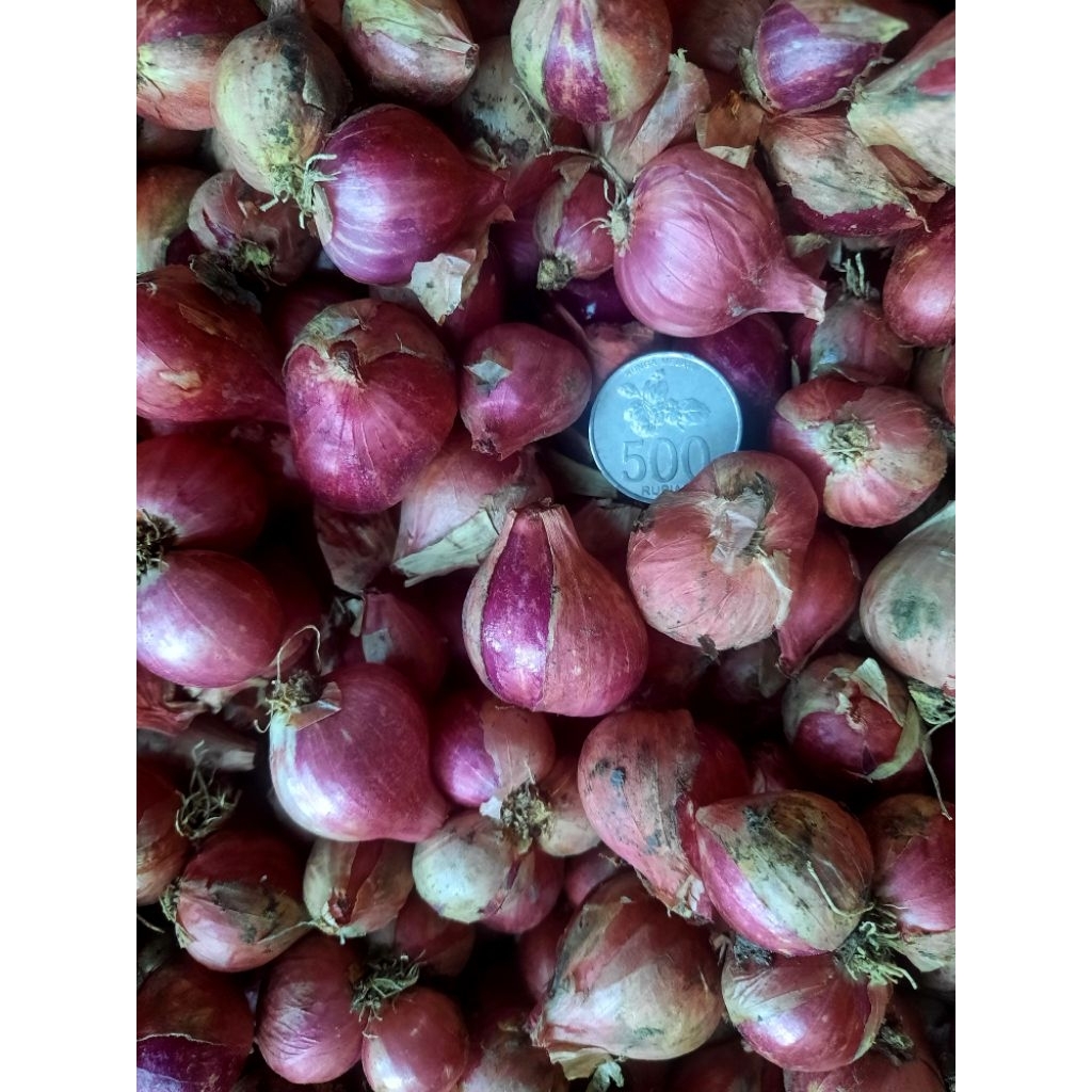 Bawang Merah Segar 1 kg 500g 250g asli kulon progo - Kering, Segar, dan Siap Pakai