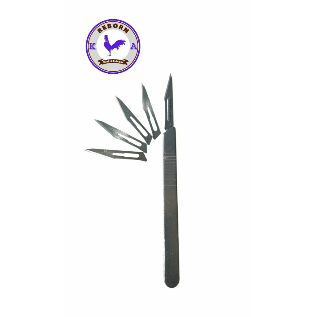 PISAU RAUT TAJI ayam gagang + 5 mata