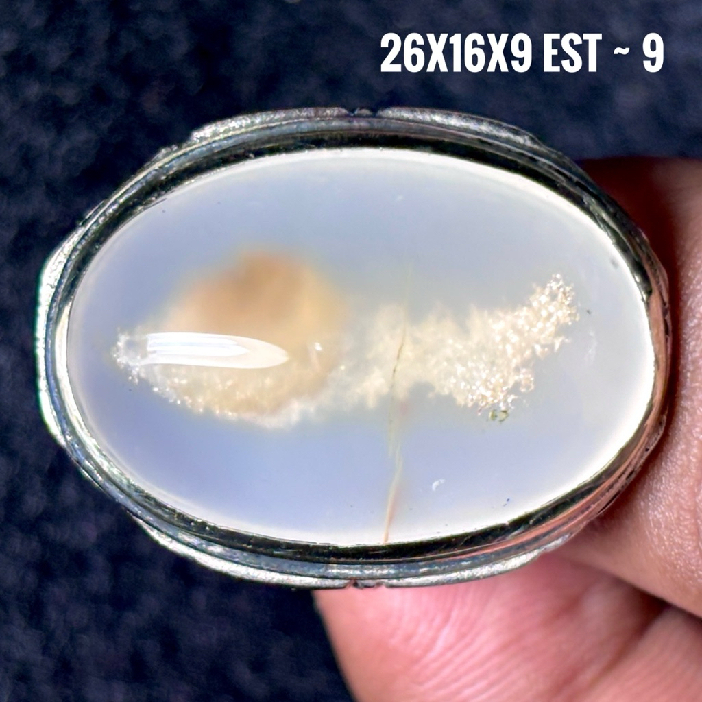 NATURAL BATU AKIK MOTIF IKAN