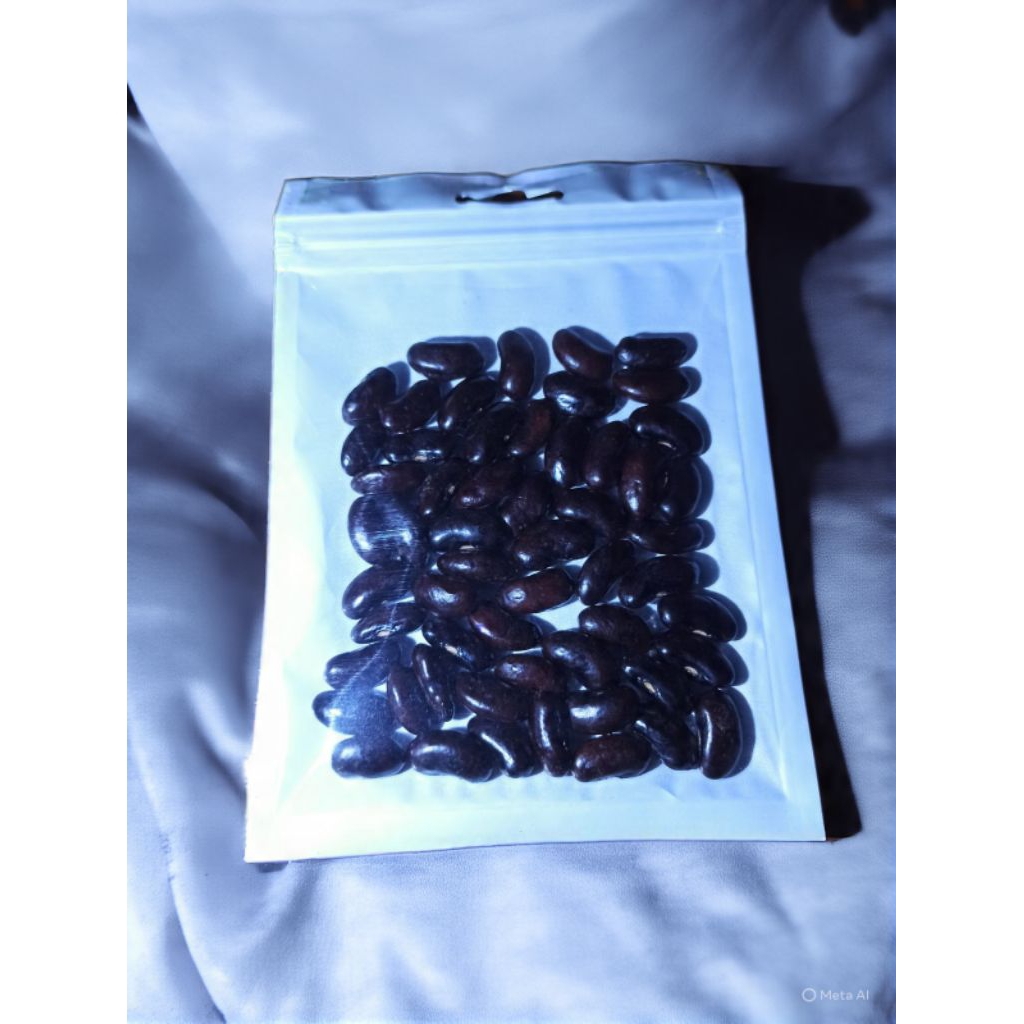 benih biji buncis ungu