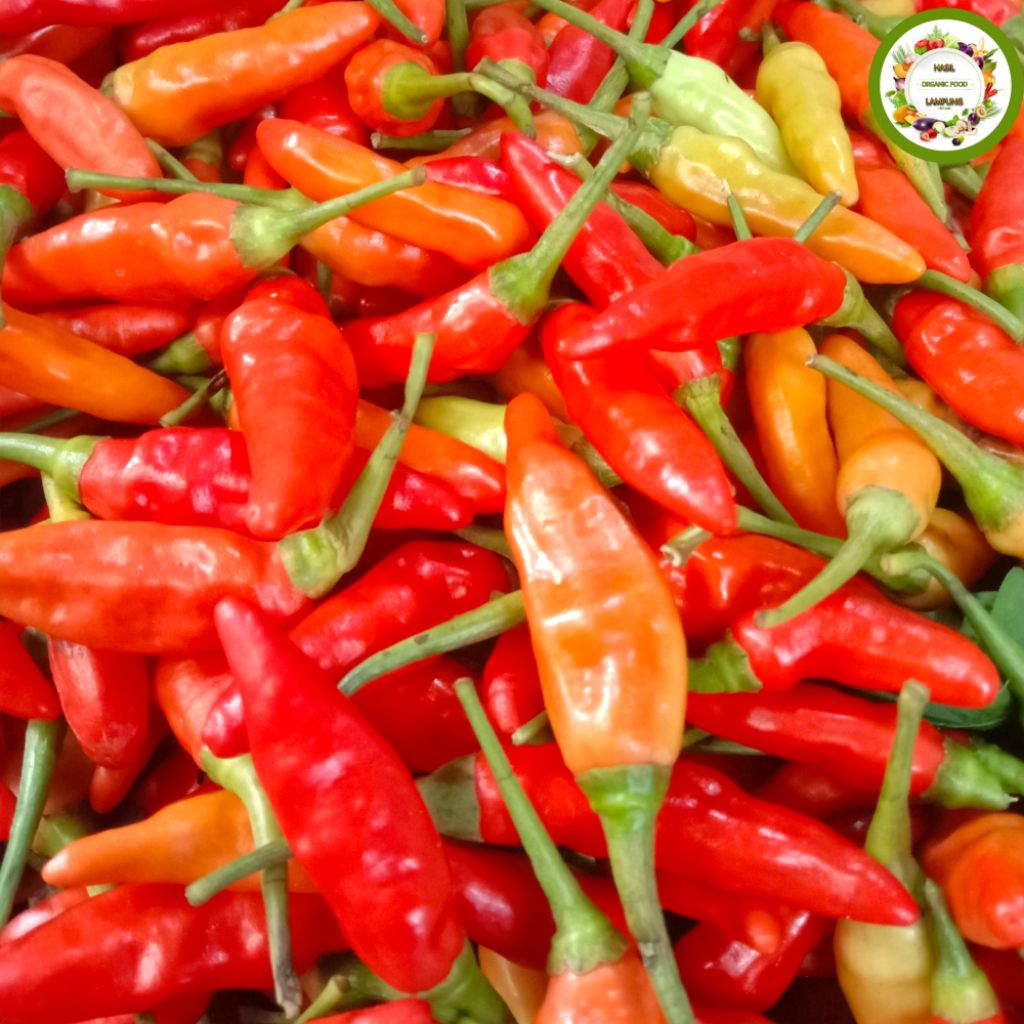 Cabe | Cabai Rawit Setan Merah Pedas Super 500 Gram