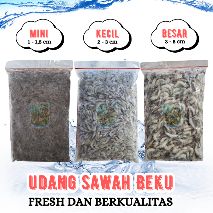 Udang Sawah Beku Udang Rawa Fresh 500gr