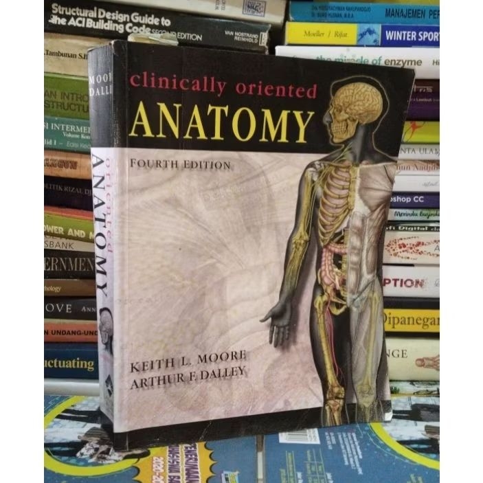 Original buku clinically oriented anatomy fourth edition
