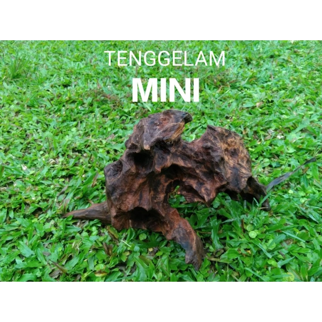 kayu rentek aquascape tenggelam ukuran mini